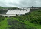 कळमोडी धरणातून अराळा नदीत पाणी सोडले
