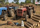 Forest department khed | चास परिसरातील अनधिकृत वृक्षतोडीवर वनविभागाचा मोठा घाव; दोन ट्रॅक्टर, इलेक्ट्रिक मशीन जप्त