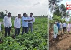 Khed Crop Damage Survey | खेड तालुक्यात खरीप पिकांच्या नुकसानीचे पंचनामे सुरू; २५० कर्मचाऱ्यांची नियुक्ती