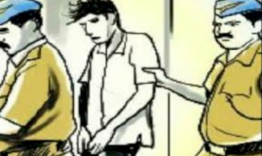 चाकण येथून कत्तलीसाठी गाईंची वाहतूक ; एकास अटक