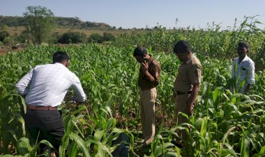 बहिणीला त्रास देतो म्हणून भावाने तरुणाचा केला खून