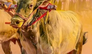 घाटाचा राजा गेला...