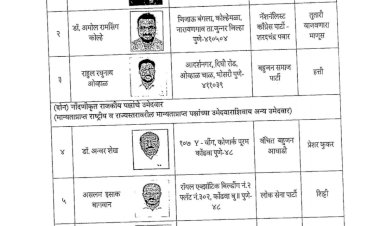 शिरूर लोकसभा मतदारसंघातील २९ उमेदवारांची यादी