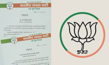 खेड - आळंदी विधानसभेत पक्ष विरहित काम केल्याने खेड बाजार समितीच्या उपसभापतींवर भाजपाने केली कारवाई