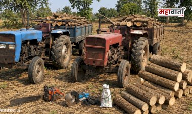 Forest department khed | चास परिसरातील अनधिकृत वृक्षतोडीवर वनविभागाचा मोठा घाव; दोन ट्रॅक्टर, इलेक्ट्रिक मशीन जप्त
