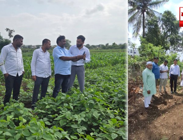 Khed Crop Damage Survey | खेड तालुक्यात खरीप पिकांच्या नुकसानीचे पंचनामे सुरू; २५० कर्मचाऱ्यांची नियुक्ती