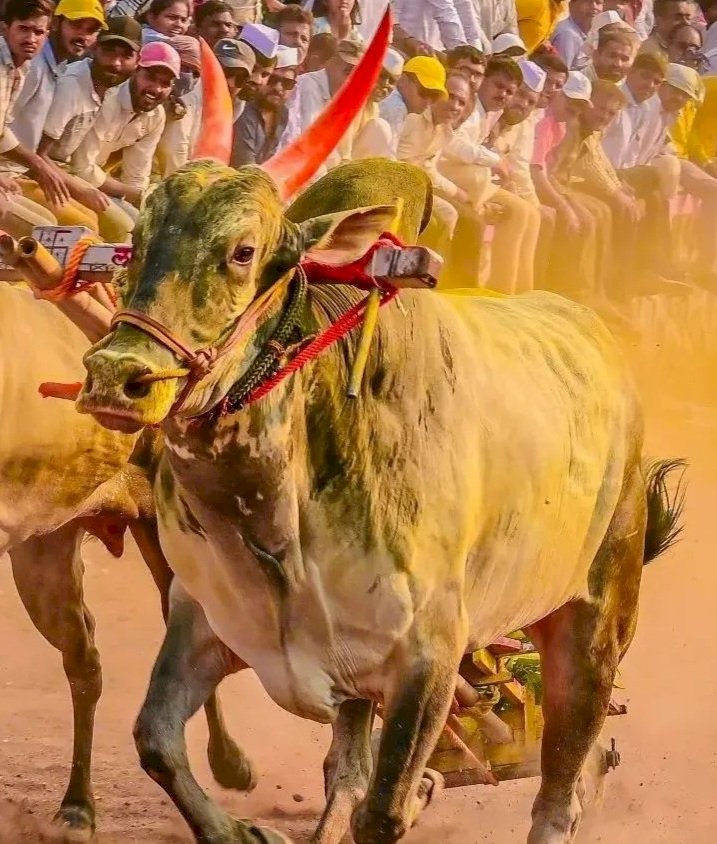 घाटाचा राजा गेला...